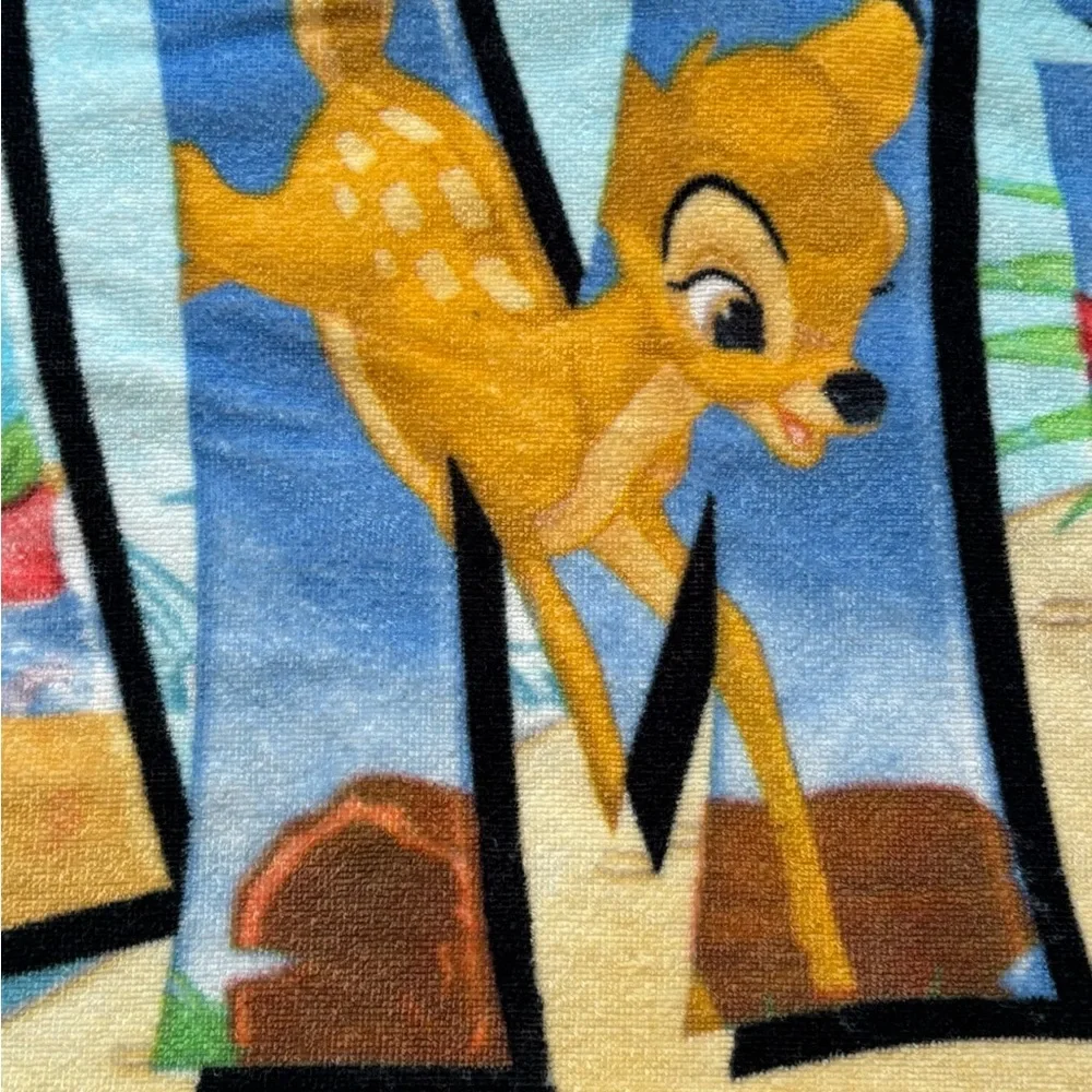 Mickey Mouse Beach Towels (set 2) Disney Family Vacation Beach Pool Swim Towels